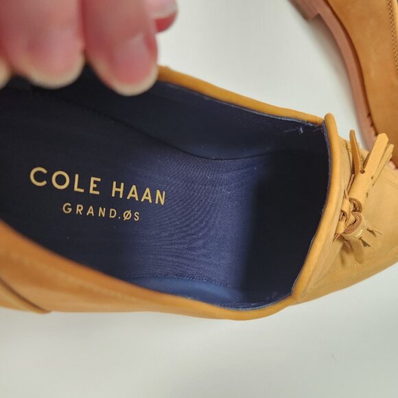 Cole Haan Washington Grand Tassel Loafer Men Sz 9 Cathay Spice Nubuck Dress Shoe - Picture 13 of 16